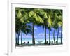 Aitutaki, Cook Islands, New Zealand-Peter Adams-Framed Photographic Print