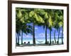 Aitutaki, Cook Islands, New Zealand-Peter Adams-Framed Photographic Print