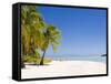 Aitutaki, Cook Islands, South Pacific, Pacific-Michael DeFreitas-Framed Stretched Canvas