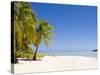 Aitutaki, Cook Islands, South Pacific, Pacific-Michael DeFreitas-Stretched Canvas