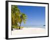 Aitutaki, Cook Islands, South Pacific, Pacific-Michael DeFreitas-Framed Photographic Print