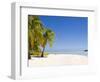 Aitutaki, Cook Islands, South Pacific, Pacific-Michael DeFreitas-Framed Photographic Print