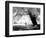 Aiveo-Craig Satterlee-Framed Photographic Print