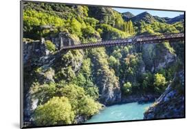 Aj Hackett Bungy Jumping on the Kawarau Bridge over the Kawarau River Near Queenstown-Michael-Mounted Photographic Print