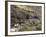 Ajanta Cave Complex, Maharastra, India-Robert Harding-Framed Photographic Print