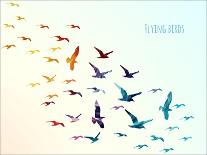 Colorful Silhouettes of Flying Birds, Vector Illustration-Ajgul-Art Print