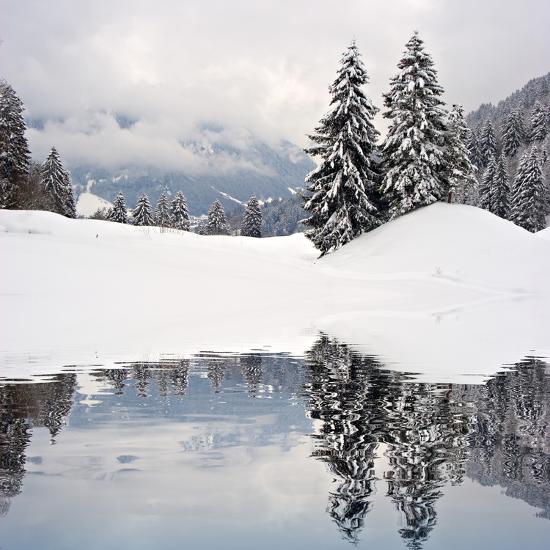 Premium Photographic Print, , large