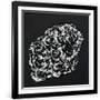 Gramercy Black