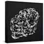 Canvas Black