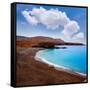 Ajuy Beach Fuerteventura at Canary Islands of Spain-Naturewolrd-Framed Stretched Canvas