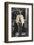 Ak H.M. King George V in State Robes, König Georg V in Königstracht-null-Framed Photographic Print