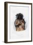 Ak-Quee-We-Zaints, the Boy, 1848-Harris-Framed Giclee Print