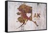 AK Rusty Cementwall Heart-Red Atlas Designs-Framed Stretched Canvas