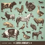 Vector Set: Farm Animals - Various Retro-Style Illustrations-AKaiser-Mounted Art Print