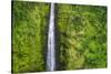 Akaka Falls, Akaka Falls State Park, Hamakua Coast, Big Island, Hawaii, USA-Russ Bishop-Stretched Canvas