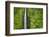 Akaka Falls, Akaka Falls State Park, Hamakua Coast, Big Island, Hawaii, USA-Russ Bishop-Framed Photographic Print