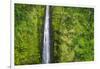 Akaka Falls, Akaka Falls State Park, Hamakua Coast, Big Island, Hawaii, USA-Russ Bishop-Framed Photographic Print