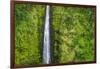 Akaka Falls, Akaka Falls State Park, Hamakua Coast, Big Island, Hawaii, USA-Russ Bishop-Framed Photographic Print