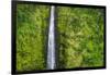 Akaka Falls, Akaka Falls State Park, Hamakua Coast, Big Island, Hawaii, USA-Russ Bishop-Framed Photographic Print