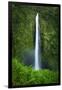 Akaka Falls, Akaka Falls State Park, The Big Island, Hawaii, USA-Russ Bishop-Framed Photographic Print