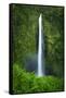 Akaka Falls, Akaka Falls State Park, The Big Island, Hawaii, USA-Russ Bishop-Framed Stretched Canvas