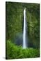 Akaka Falls, Akaka Falls State Park, The Big Island, Hawaii, USA-Russ Bishop-Stretched Canvas