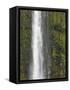 Akaka Falls, Hamakua Coast, Hawaii, USA-Savanah Stewart-Framed Stretched Canvas