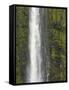 Akaka Falls, Hamakua Coast, Hawaii, USA-Savanah Stewart-Framed Stretched Canvas