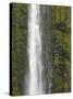 Akaka Falls, Hamakua Coast, Hawaii, USA-Savanah Stewart-Stretched Canvas