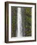 Akaka Falls, Hamakua Coast, Hawaii, USA-Savanah Stewart-Framed Photographic Print