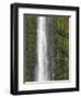 Akaka Falls, Hamakua Coast, Hawaii, USA-Savanah Stewart-Framed Photographic Print