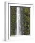 Akaka Falls, Hamakua Coast, Hawaii, USA-Savanah Stewart-Framed Photographic Print