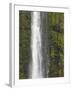 Akaka Falls, Hamakua Coast, Hawaii, USA-Savanah Stewart-Framed Photographic Print