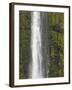 Akaka Falls, Hamakua Coast, Hawaii, USA-Savanah Stewart-Framed Photographic Print