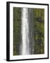 Akaka Falls, Hamakua Coast, Hawaii, USA-Savanah Stewart-Framed Photographic Print