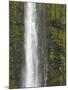 Akaka Falls, Hamakua Coast, Hawaii, USA-Savanah Stewart-Mounted Photographic Print