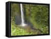 Akaka Falls, Hamakua Coast, Hawaii, USA-Savanah Stewart-Framed Stretched Canvas