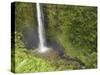 Akaka Falls, Hamakua Coast, Hawaii, USA-Savanah Stewart-Stretched Canvas