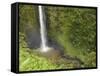 Akaka Falls, Hamakua Coast, Hawaii, USA-Savanah Stewart-Framed Stretched Canvas