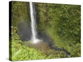 Akaka Falls, Hamakua Coast, Hawaii, USA-Savanah Stewart-Stretched Canvas