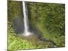 Akaka Falls, Hamakua Coast, Hawaii, USA-Savanah Stewart-Mounted Photographic Print