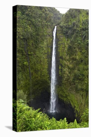 Akaka Falls, Hawaii, Big Island-Gayle Harper-Stretched Canvas