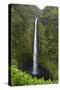 Akaka Falls, Hawaii, Big Island-Gayle Harper-Stretched Canvas