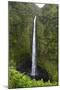 Akaka Falls, Hawaii, Big Island-Gayle Harper-Mounted Photographic Print