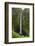 Akaka Falls, Hawaii, Big Island-Gayle Harper-Framed Photographic Print