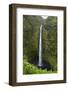 Akaka Falls, Hawaii, Big Island-Gayle Harper-Framed Photographic Print