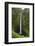 Akaka Falls, Hawaii, Big Island-Gayle Harper-Framed Photographic Print