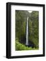 Akaka Falls, Hawaii, Big Island-Gayle Harper-Framed Photographic Print