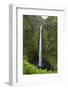 Akaka Falls, Hawaii, Big Island-Gayle Harper-Framed Photographic Print