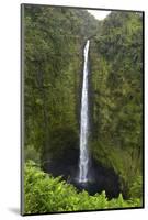 Akaka Falls, Hawaii, Big Island-Gayle Harper-Mounted Photographic Print